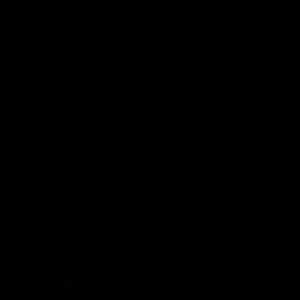 Meet your Posher, Anne